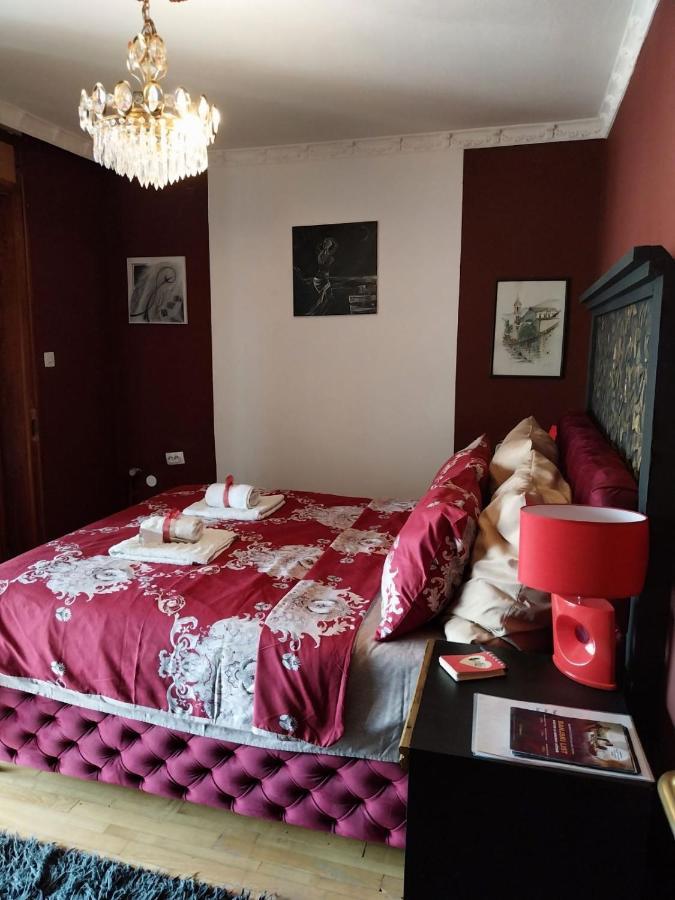 Vrnjačka Banja Noa.S Pansion 88 Bed & Breakfast エクステリア 写真